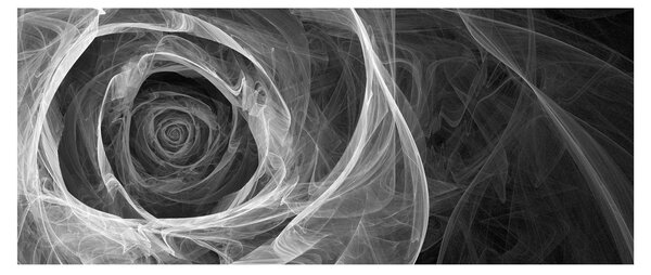 Kép - Absztrakt rózsa fekete-fehér (120x50 cm)