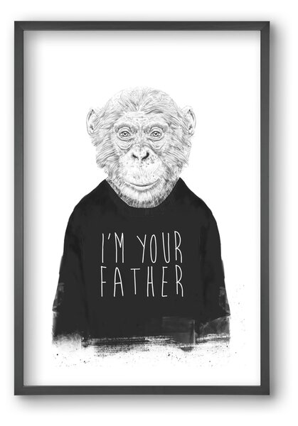 I'm your father - falikép keretben | artbridge