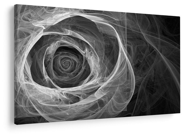 Kép - Absztrakt rózsa fekete-fehér (90x60 cm)