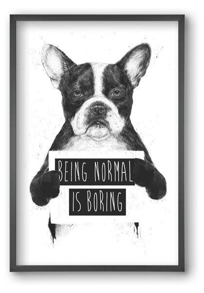Being normal is boring - falikép keretben | artbridge