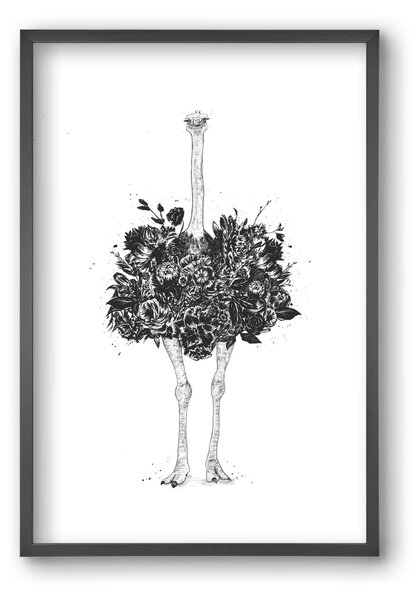 Floral ostrich - falikép keretben | artbridge