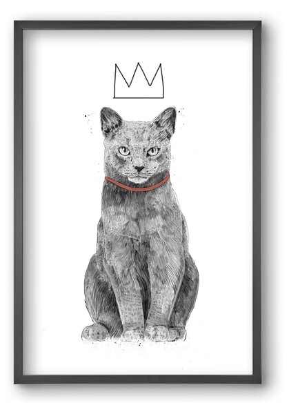 King Of Everything - falikép keretben | artbridge