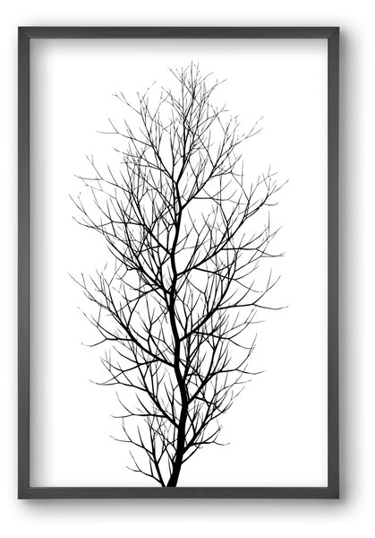 The tree - falikép keretben | artbridge