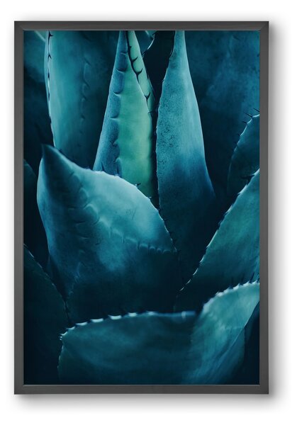 Cactus no. 4 - falikép keretben | artbridge