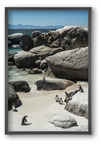 Boulders Beach - falikép keretben | artbridge