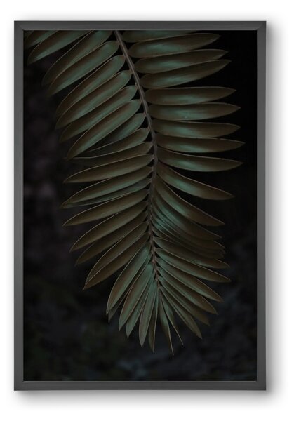 Cycad - falikép keretben | artbridge