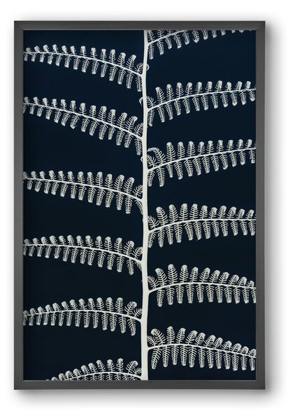Fern - falikép keretben | artbridge