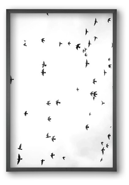 Flight and freedom - falikép keretben | artbridge