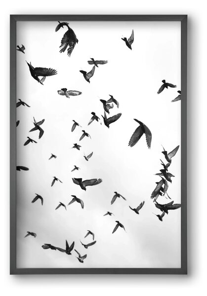 Flight & Freedom II. - falikép keretben | artbridge