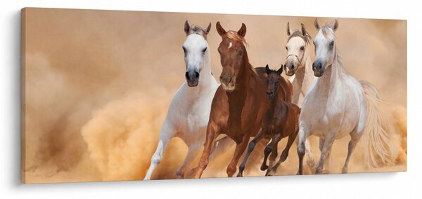 Kép - Lócsorda (120x50 cm)