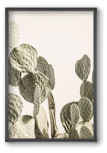 Mexi cactus - falikép keretben | artbridge