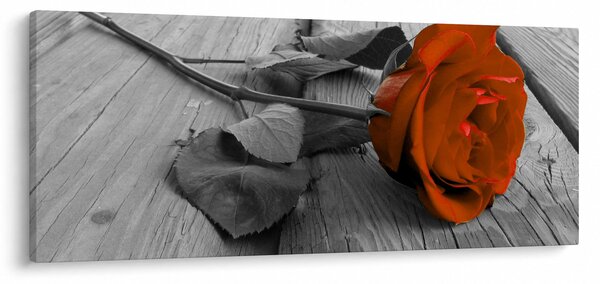 Kép - Narancs Rózsa (120x50 cm)