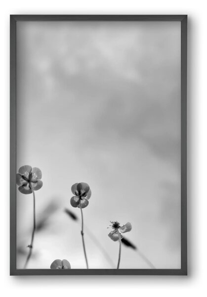 Buttercups - falikép keretben | artbridge