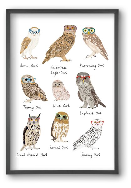 Owls in Glasses - falikép keretben | artbridge