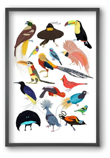 Birds of Prey - falikép keretben | artbridge