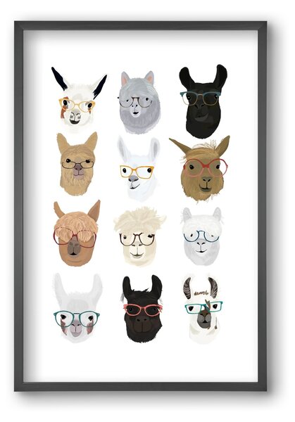 Llamas in Glasses - falikép keretben | artbridge