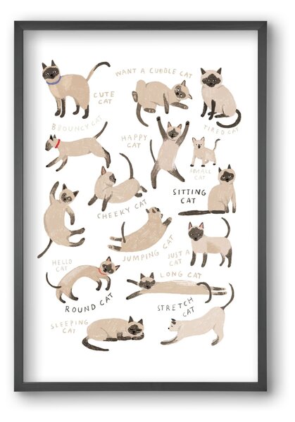 Siamese Cats - falikép keretben | artbridge