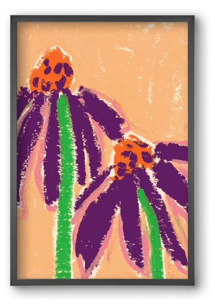 Echinacea - falikép keretben | artbridge