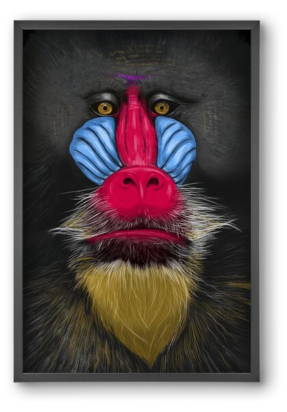 Monkey illustration - falikép keretben | artbridge