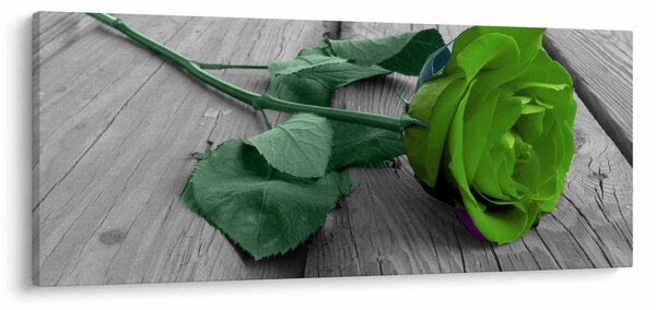 Kép - Zöld rózsa (120x50 cm)