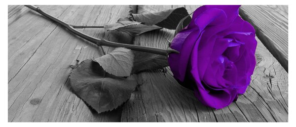 Kép - Lila rózsa zöld szárral (120x50 cm)