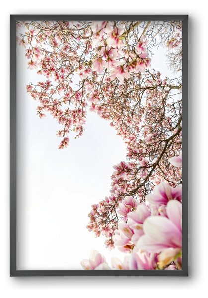 Hello SPRING - falikép keretben | artbridge