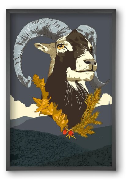Ovis - falikép keretben | artbridge