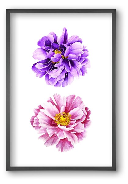 Peonies - falikép keretben | artbridge