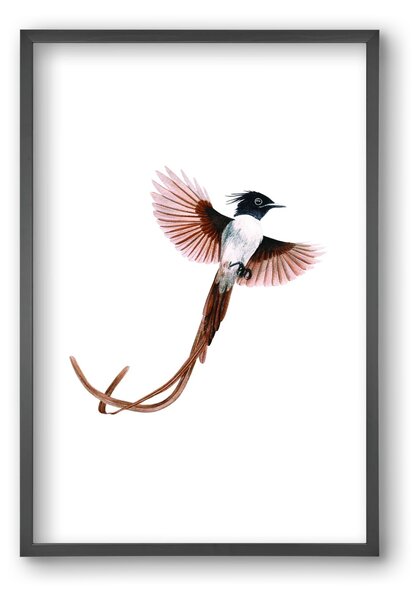 Flycatcher - falikép keretben | artbridge