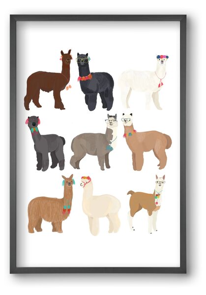 Standin Llama Print - falikép keretben | artbridge