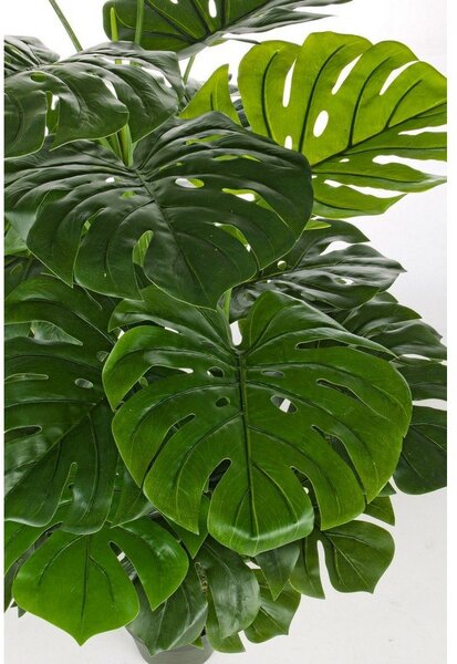 Monstera műnövény (magasság 120 cm) Philodendron – Bizzotto