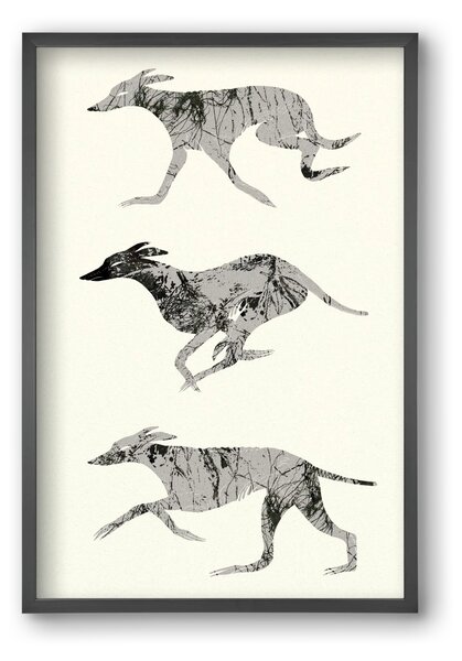 Greyhounds - falikép keretben | artbridge