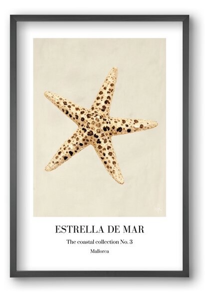 Estrella de mar - falikép keretben | artbridge