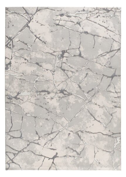 Szürkésbézs szőnyeg 115x170 cm Oris – Universal