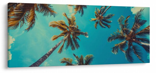 Kép - Magas pálmafák (120x50 cm)