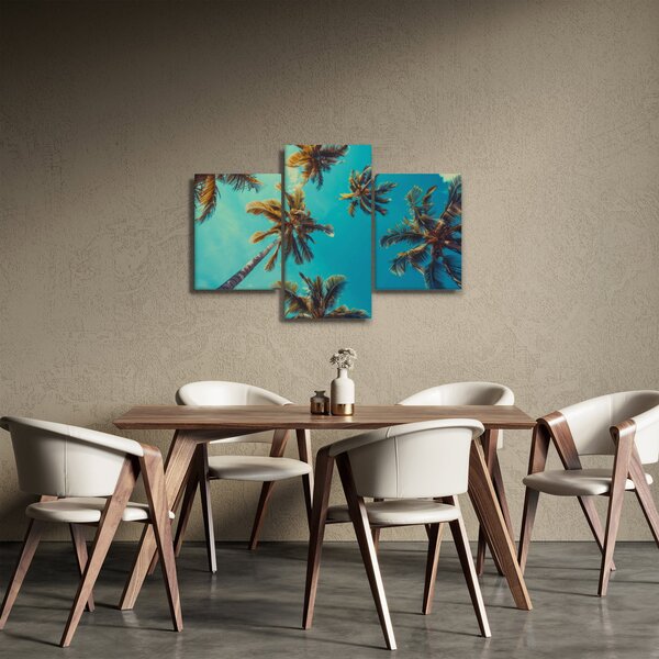 Kép - Magas pálmafák (90x60 cm)