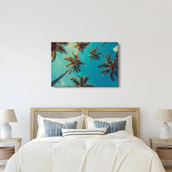 Kép - Magas pálmafák (90x60 cm)