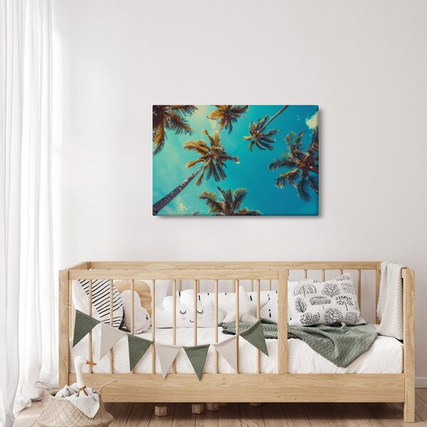 Kép - Magas pálmafák (90x60 cm)