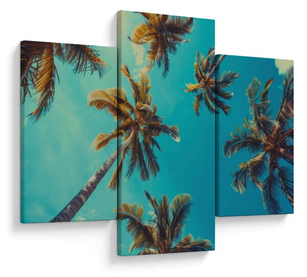 Kép - Magas pálmafák (90x60 cm)