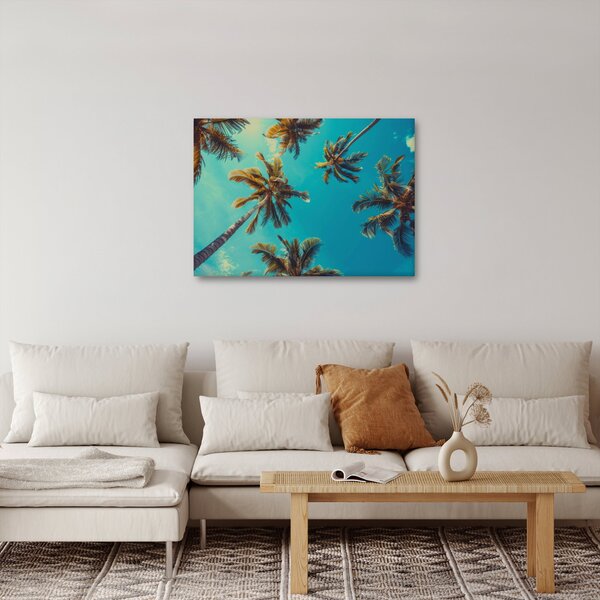 Kép - Magas pálmafák (70x50 cm)