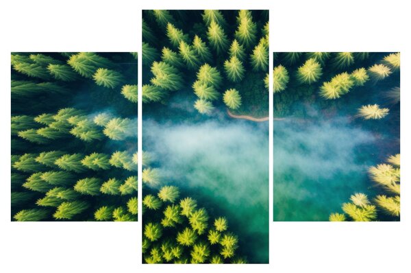 Kép - Egy ködbe burkolt erdő (90x60 cm)