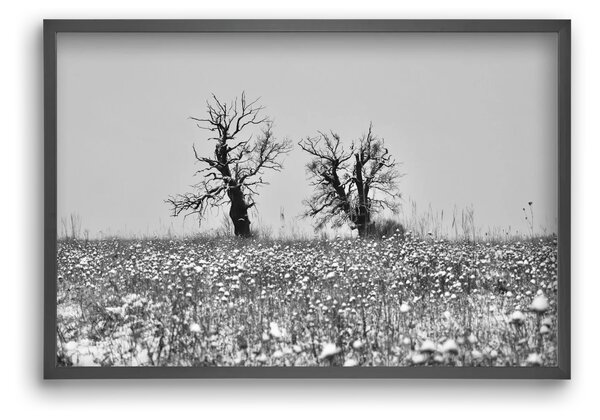 Old oak couple - falikép keretben | artbridge