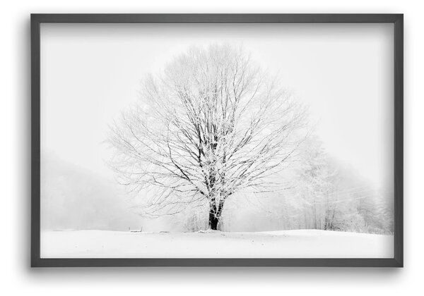 CONTRAST - falikép keretben | artbridge