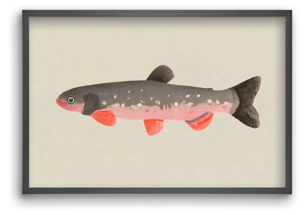 Still fishy - falikép keretben | artbridge