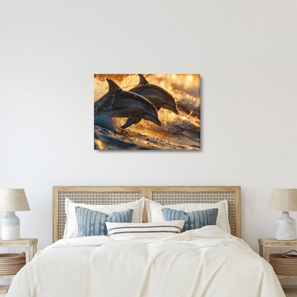 Kép - Delfinek (70x50 cm)