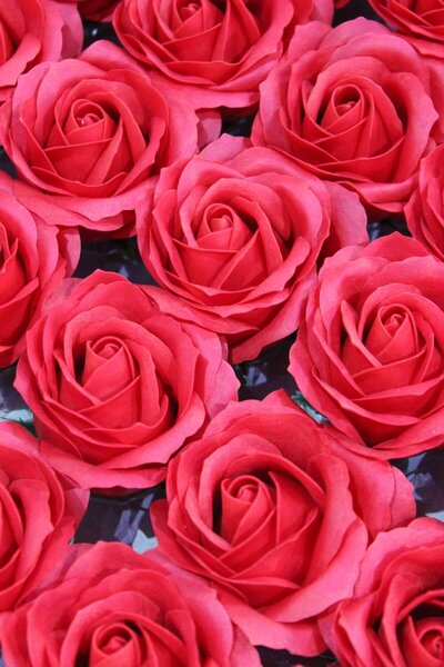 Červená mydlová ruža rozkvitnutá 25ks, 7cm