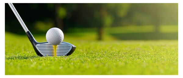 Kép - Golf (120x50 cm)