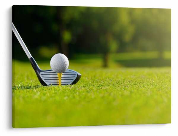 Kép - Golf (70x50 cm)