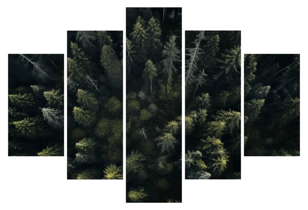 Kép - Forest (150x105 cm)