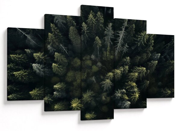 Kép - Forest (150x105 cm)